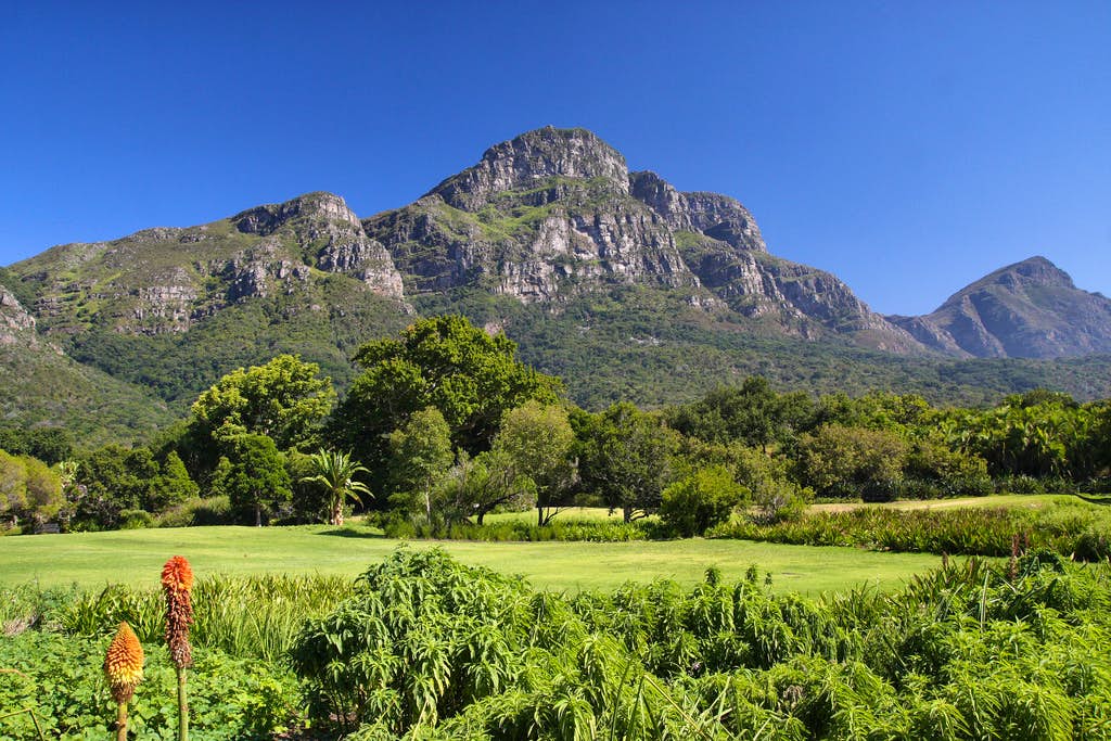 Experience thrill feels at Table mountain cable car & Kirstenbosch Botanical Gardens