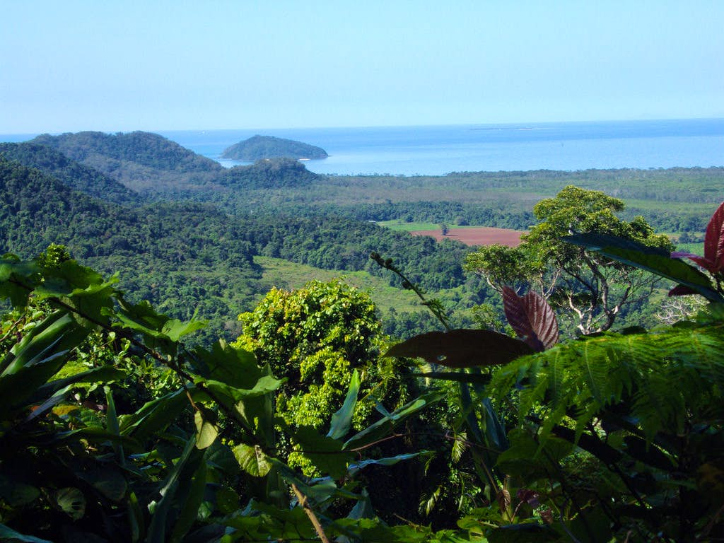 Cairns Explorations - Cape Tribulation, Mossman Gorge, and Daintree Rainforest Day Trip from Cairns