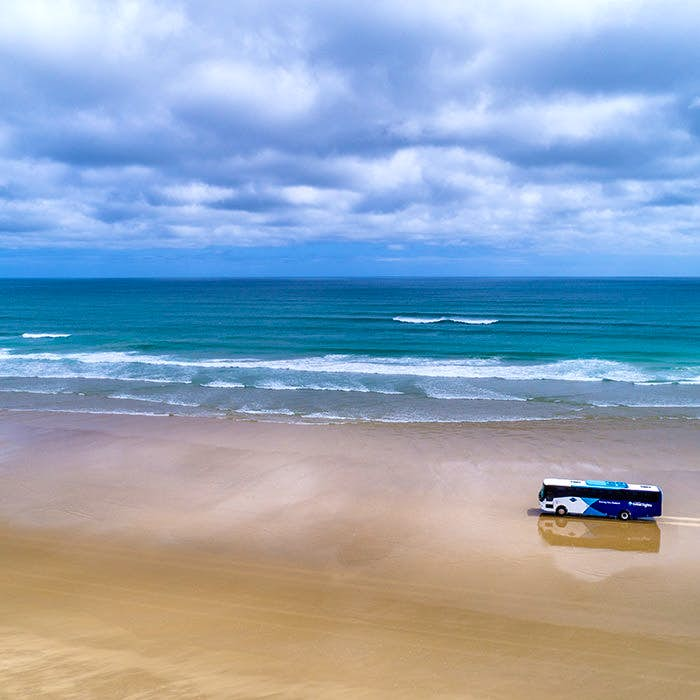 Cape Reinga & 90 Mile Beach 