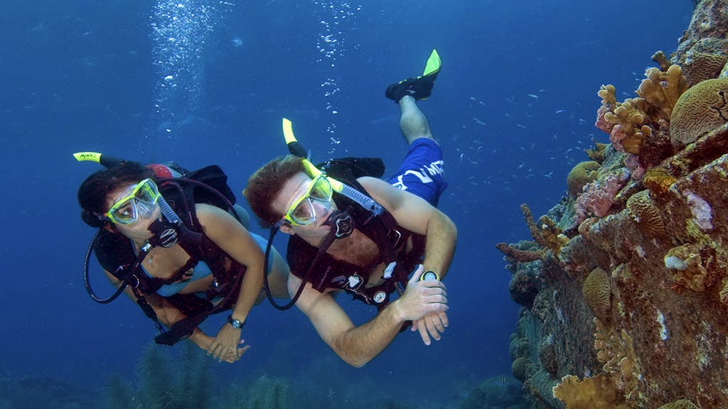 Samui Diving - Scuba dive around the beautiful islands and exploring the underwater world 