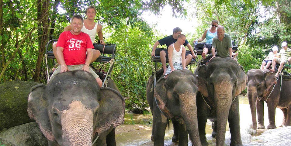  Eco-adventure tour with a good mix of sea and land experiences with an elephant trek for 30 mins