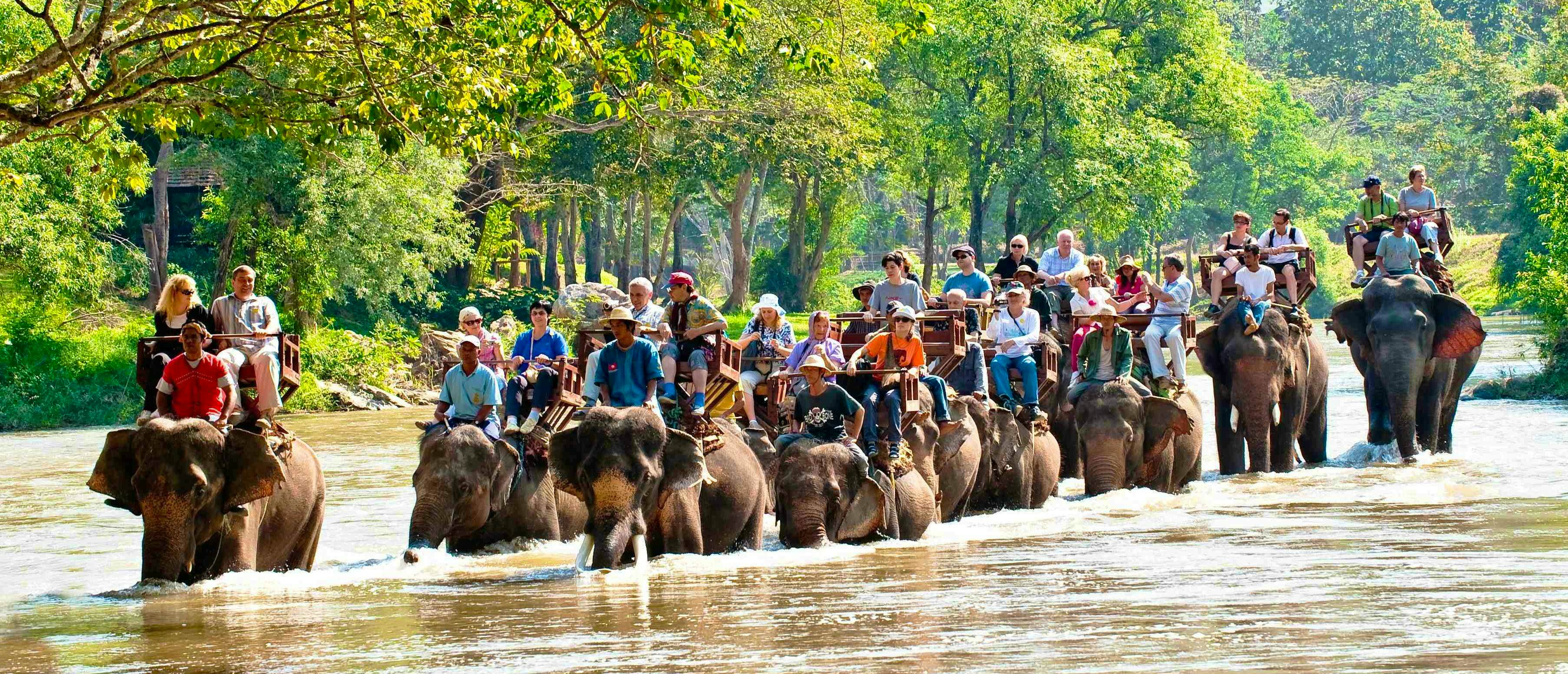 Enthralling Hot Spring & jungle tour whilst exploring the Natural Wonders of Krabi and an elephant ride