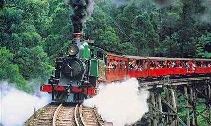 Day trip from Melbourne through the forests riding in a Puffing Billy Steam Train 