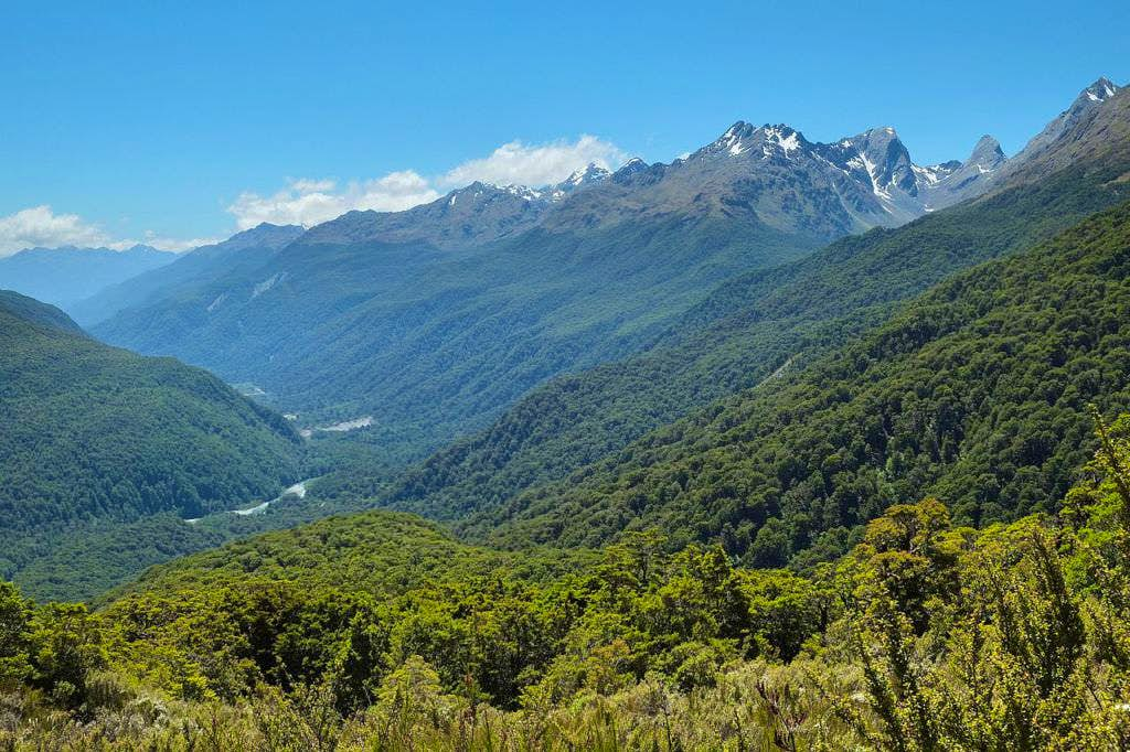 Venturing into the Fiordland National Park