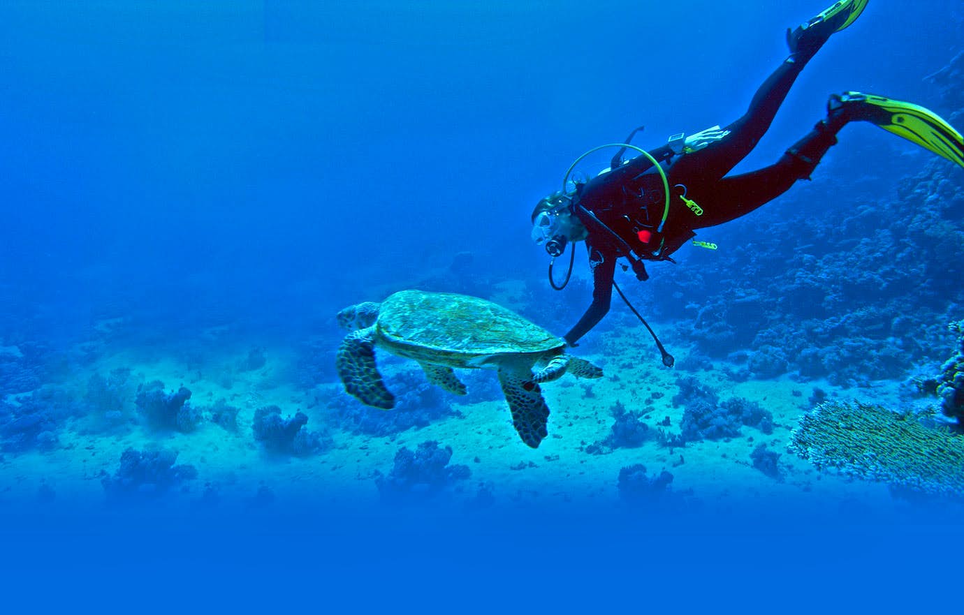 Discover diving