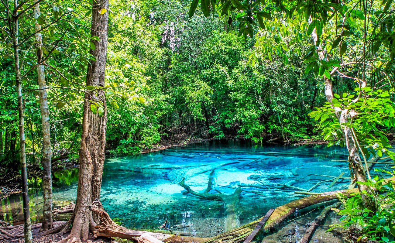 Jungle Tour Hot Spring and Emerald Pool