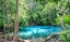 Jungle Tour Hot Spring and Emerald Pool