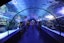Full day Antalya Aquarium tour + AVM With Shared Transfers