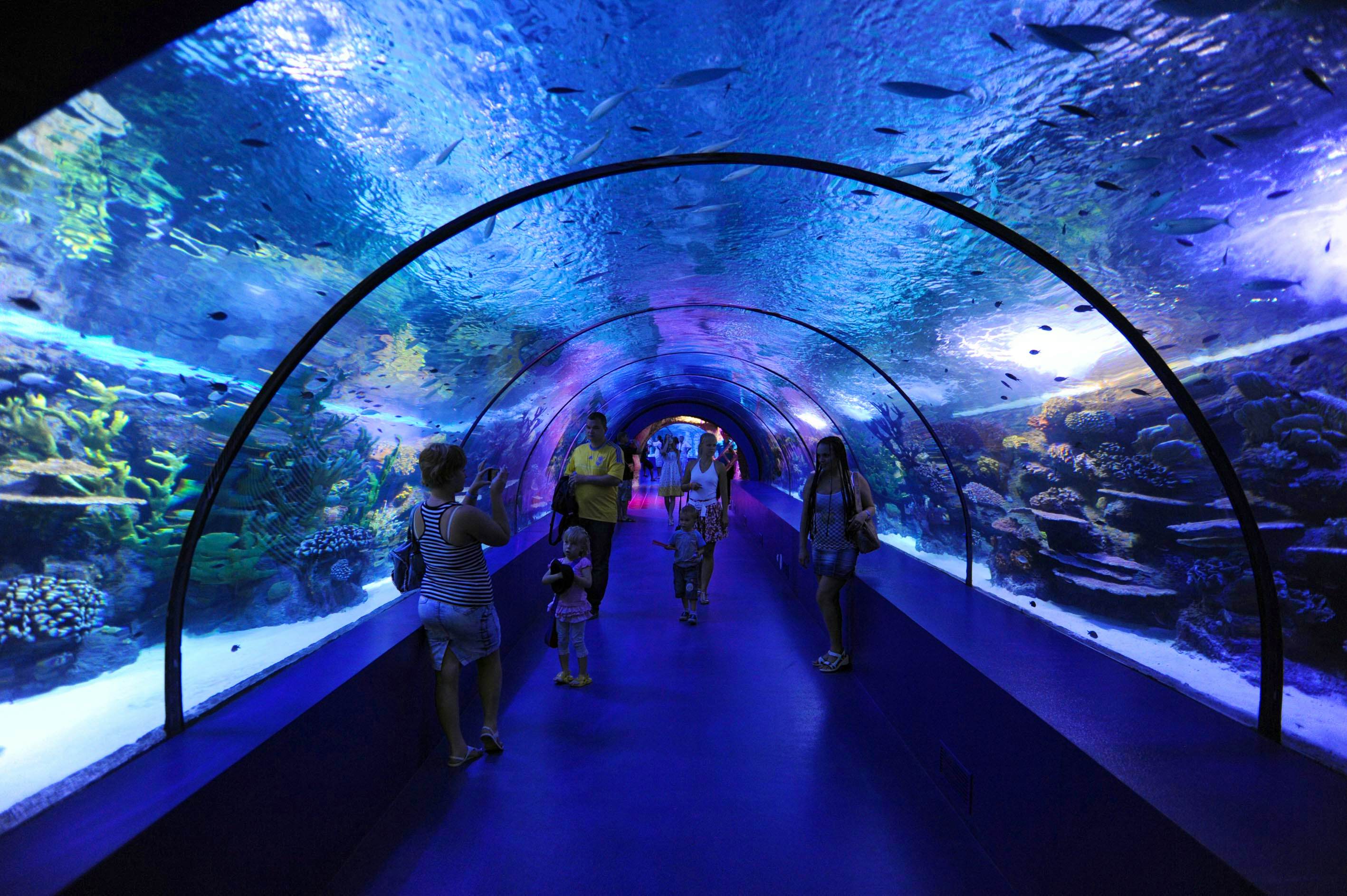Full day Antalya Aquarium tour + AVM With Private Transfers