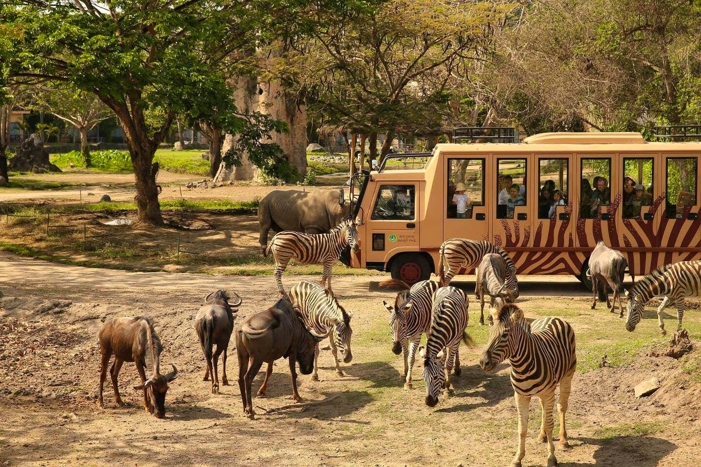 Jungle Hopper | Bali Safari Park with Private Transfers