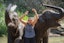 Kanchanaburi Elephant Ride + Bamboo Rafting Tour with Seat In Coach Transfers