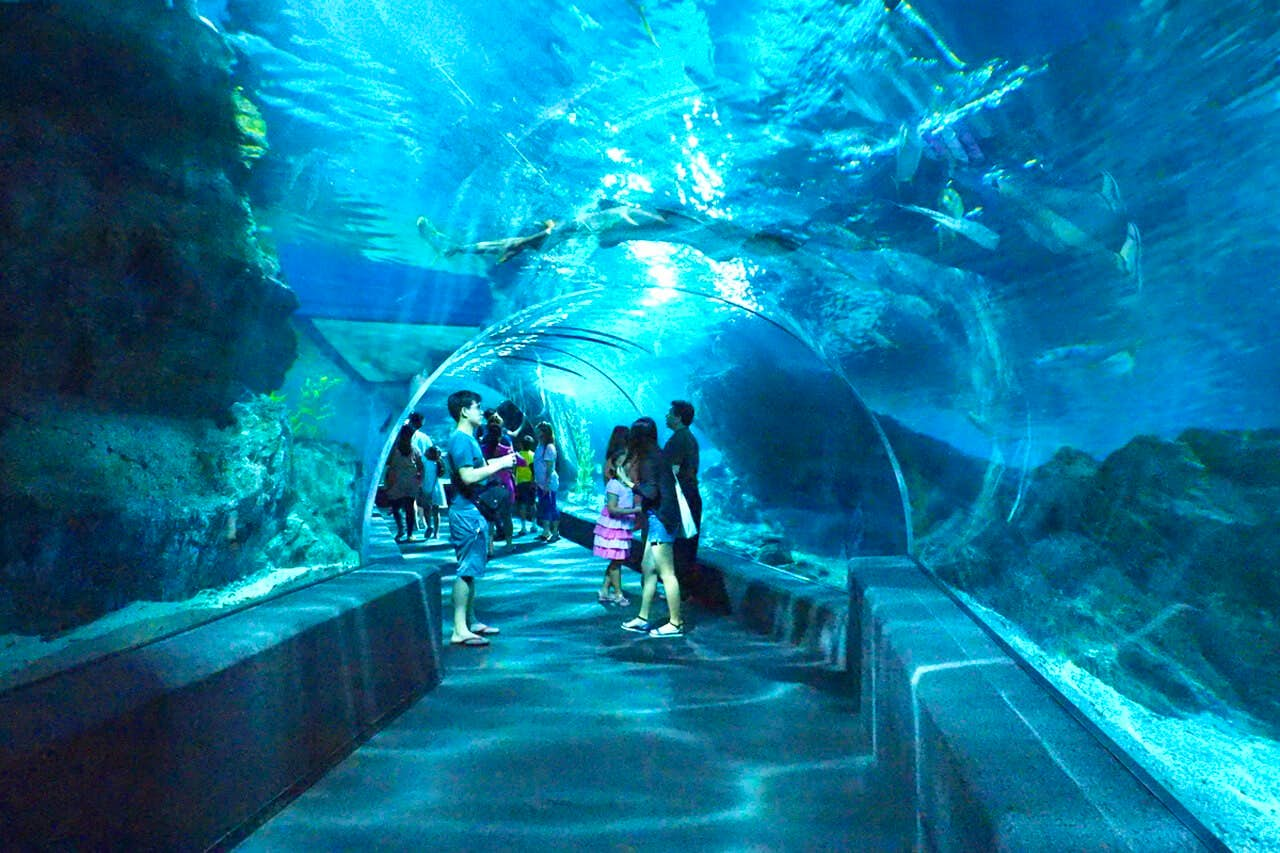 Bangkok - Sea Life Bangkok & Madame Tussauds Combo With Private Transfers