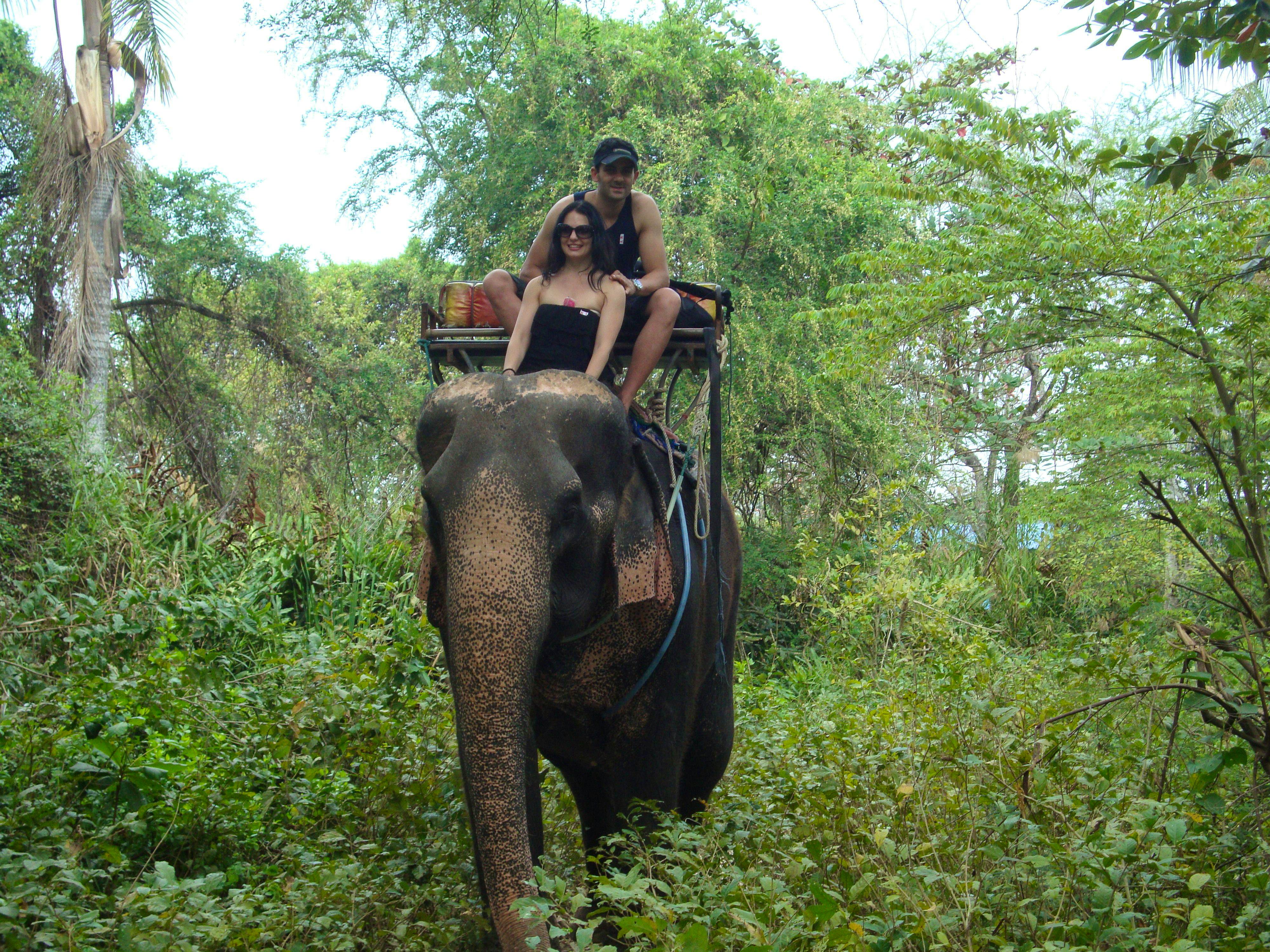 Phuket-Bareback Elephant Riding Only 45 mins - Shared Transfers (C2)  (Pick up for hotels in Patong, Kata, Karon & Kamala)