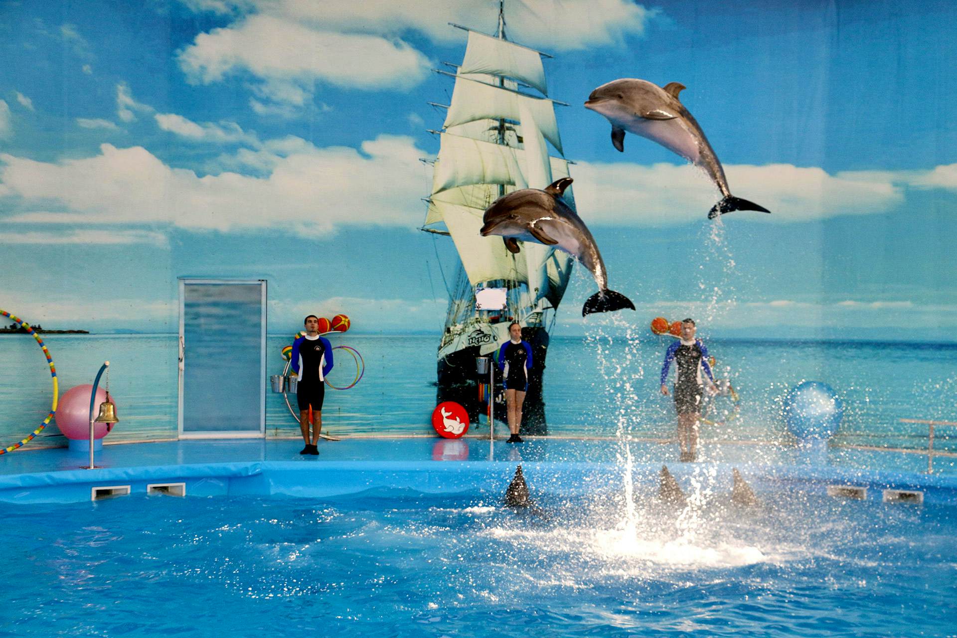 Pattaya-Dolphinarium - Regular With Private Transfer - Closed on Wednesday