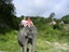 Phuket-Jungle Seaview Elephant Trekking 30 Mins (Shared Transfer) (Pick up for hotels in Patong, Kata, Karon & Kamala)