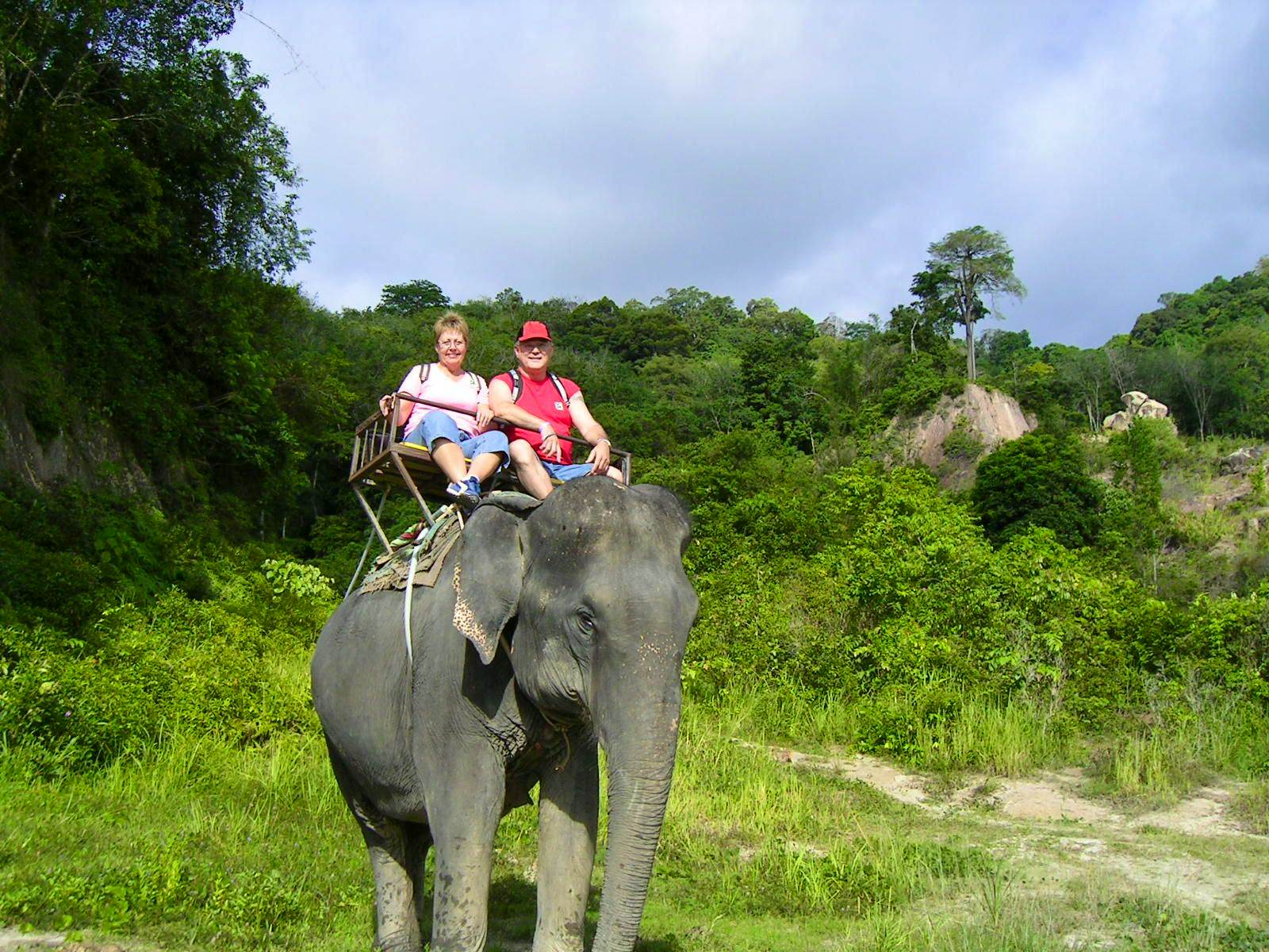 Phuket-Jungle Seaview Elephant Trekking 45 Min with Shared Transfer