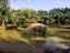Krabi-Elephant Sanctuary Half Day With Shared Transfers