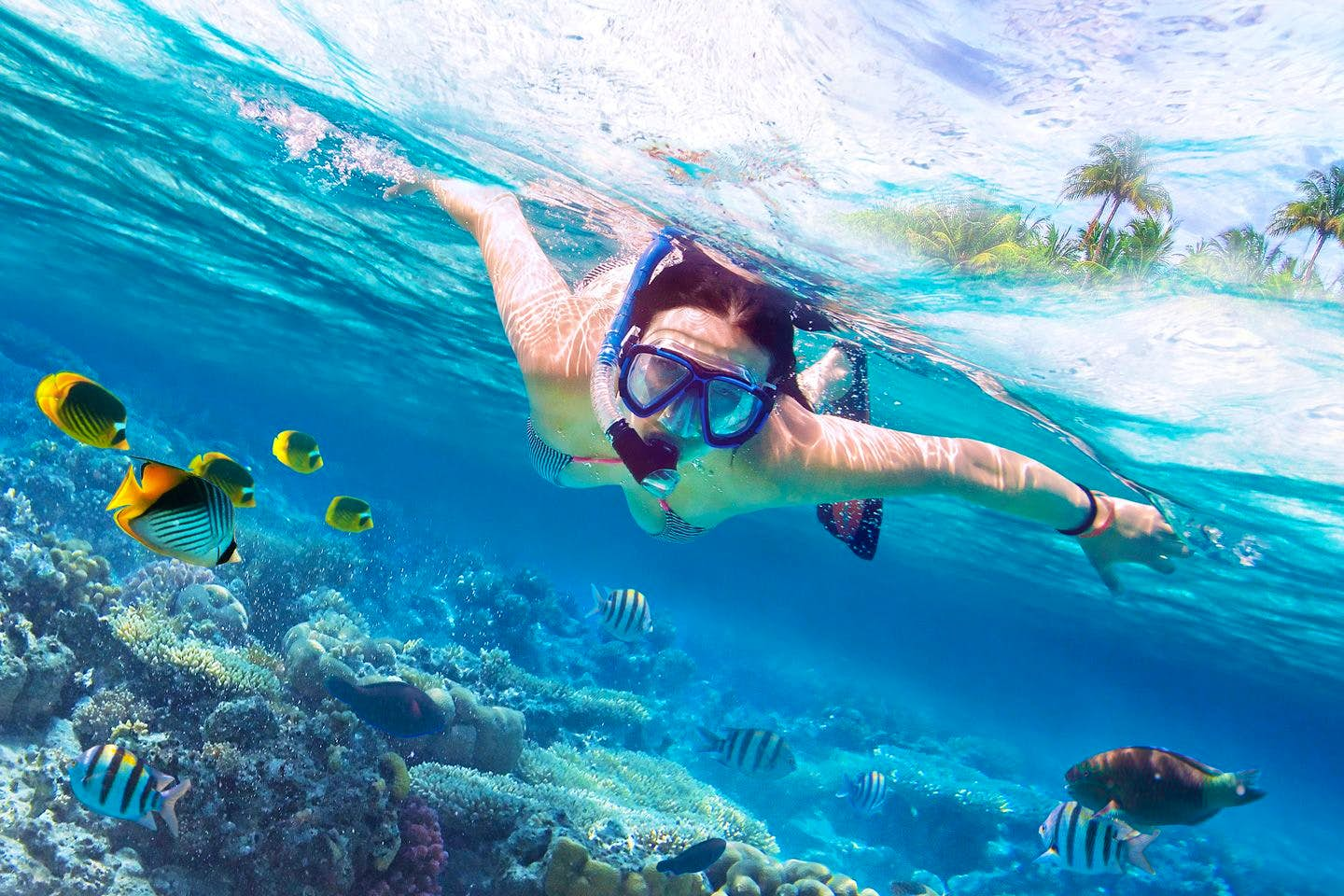 Phi-Phi Snorkelling from Tonsai Pier