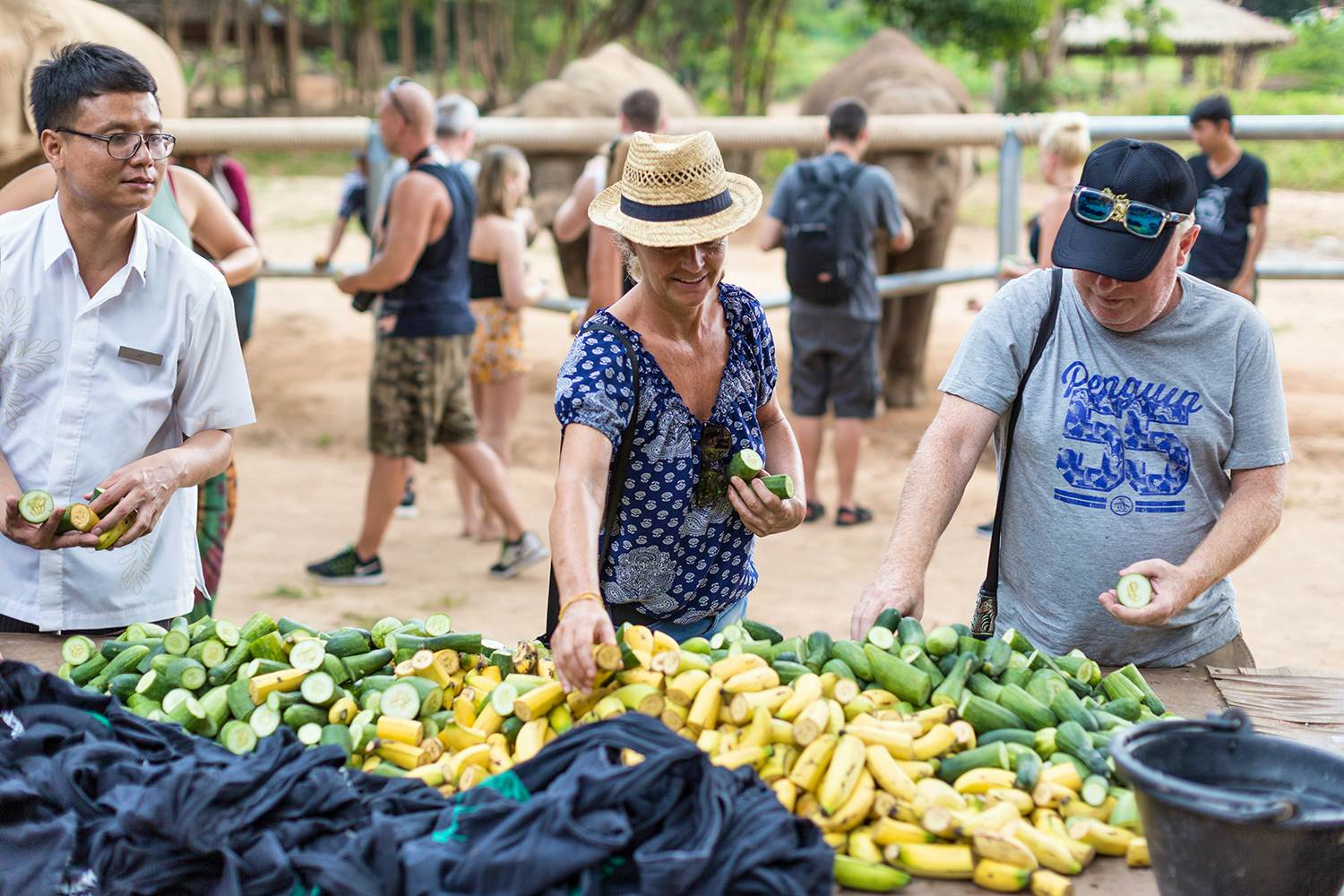 Samui-Elephant Cooking Adventure With Shared Transfers