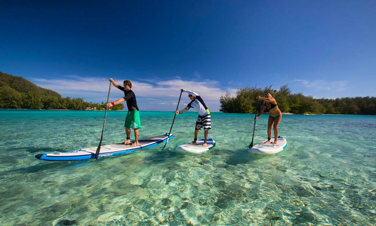 Samui-Paddle Board - 30 Min with Shared Transfers