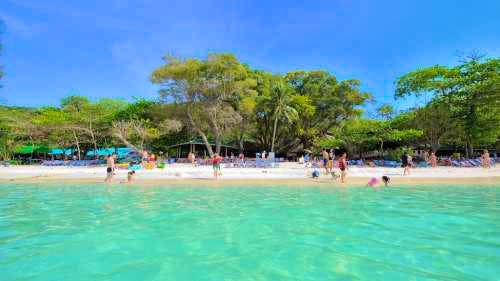 Coral & Racha Islands Tour + Sunset ( By Catamaran ) (Pick up for hotels in Patong, Kata, Karon & Kamala)