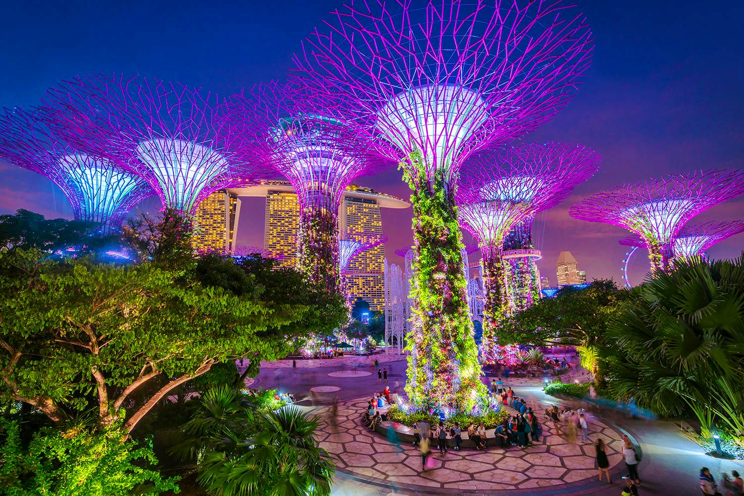MBS, Gardens By The Bay, Flower Dome and  Super tree Observatory With Shared Transfers