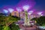 MBS + Gardens By The Bay (Flower Dome + Cloud Forest featuring Avatar: The Experience + Super tree Observatory) With Shared Transfers