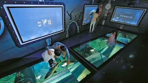 Exposure to a panoramic view of coral reefs and a variety of aquatic species at the Sea Life Bangkok Ocean World