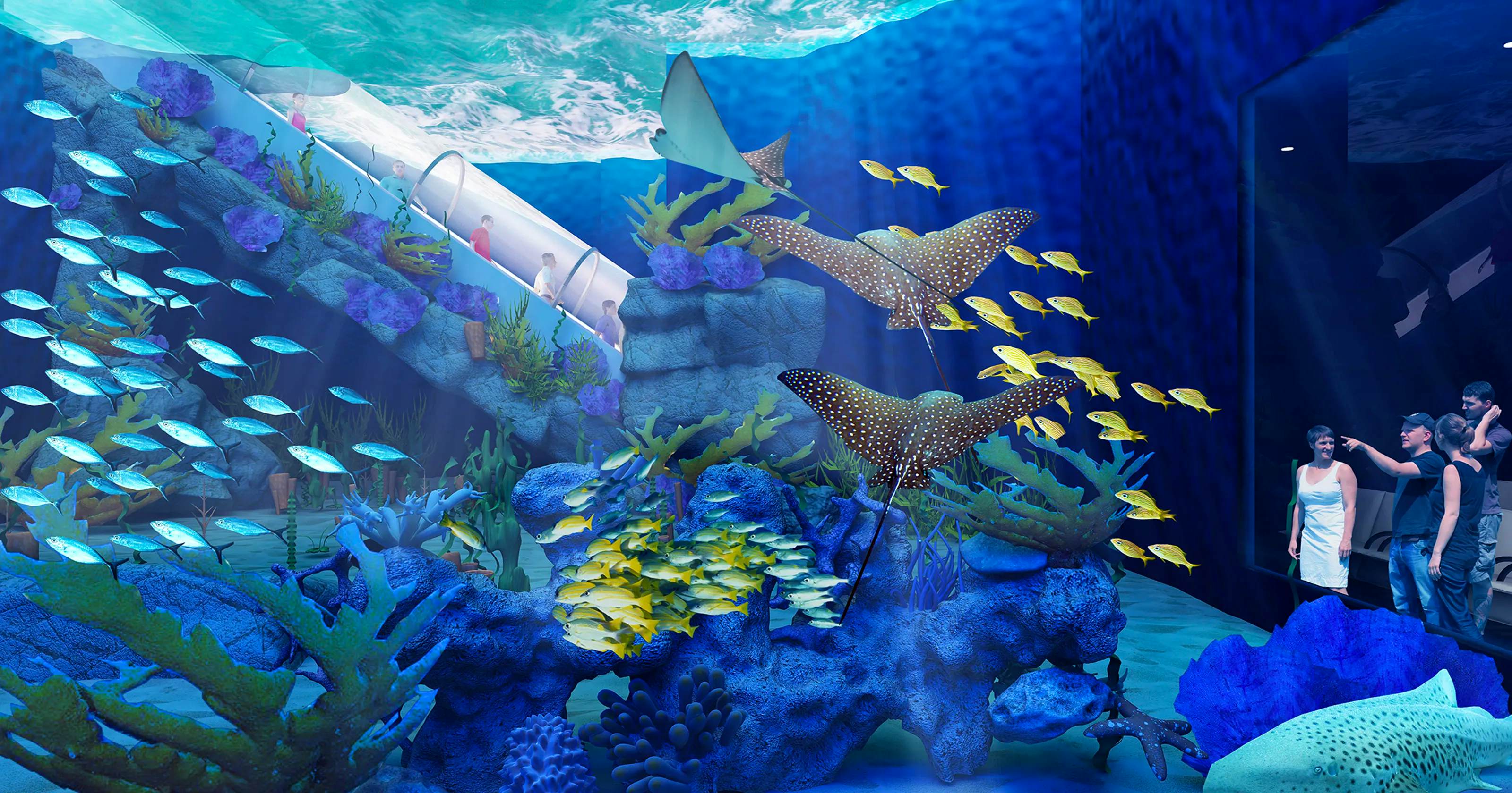 Odysseo Oceanarium With Private Transfers