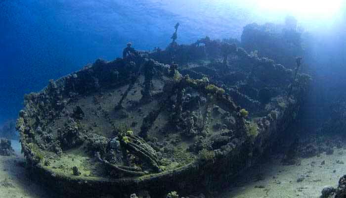 Experience Scuba Diving at the Liberty Shipwreck 
