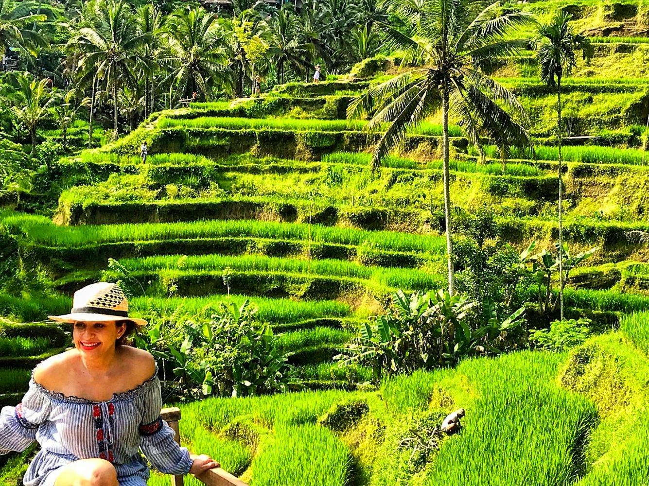 Kintamani Volcano +  Tegallalang Rice Terraces + Ubud monkey forest with private transfers