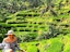 Kintamani Volcano +  Tegallalang Rice Terraces + Ubud monkey forest with private transfers