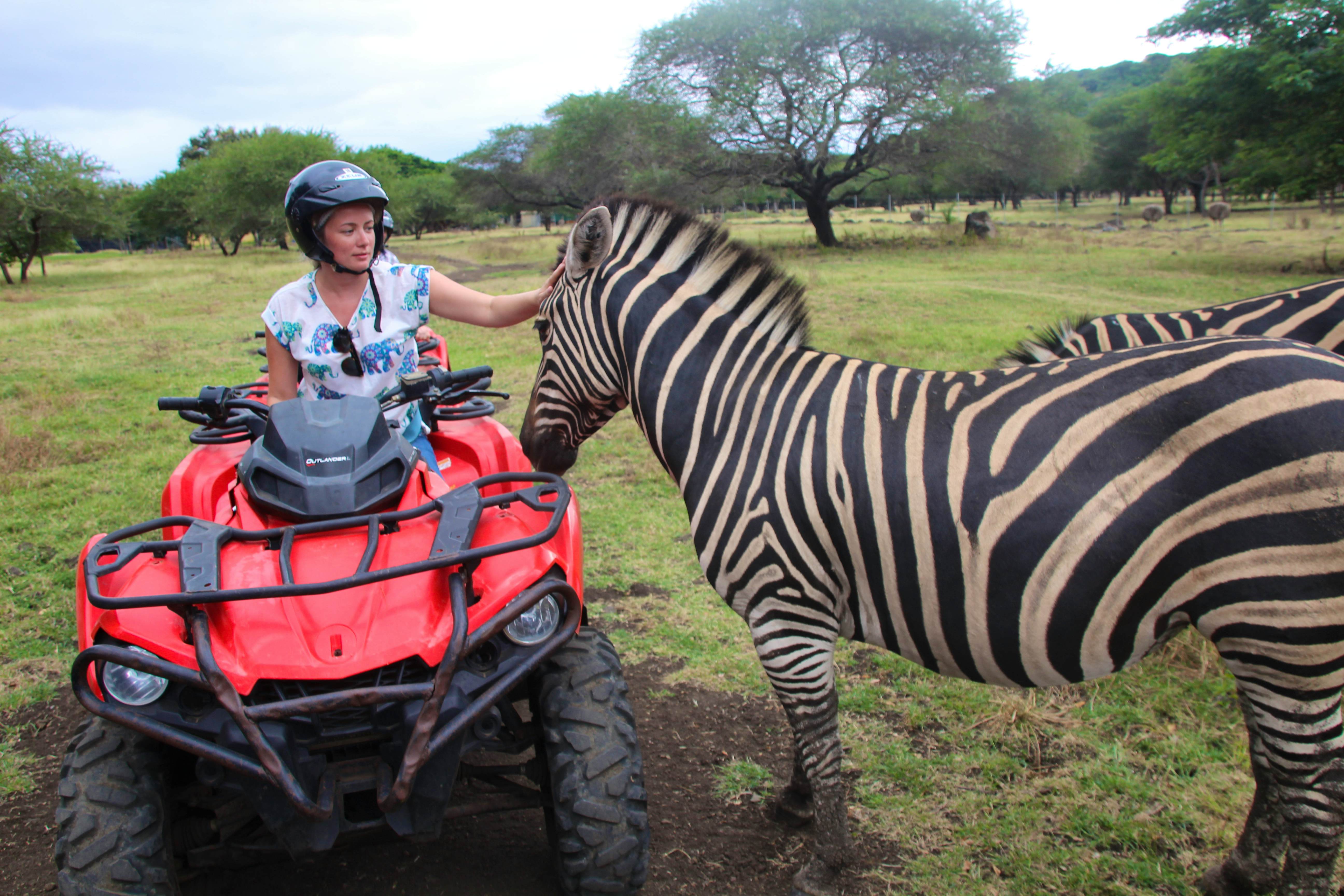 Casela Entry With African Safari