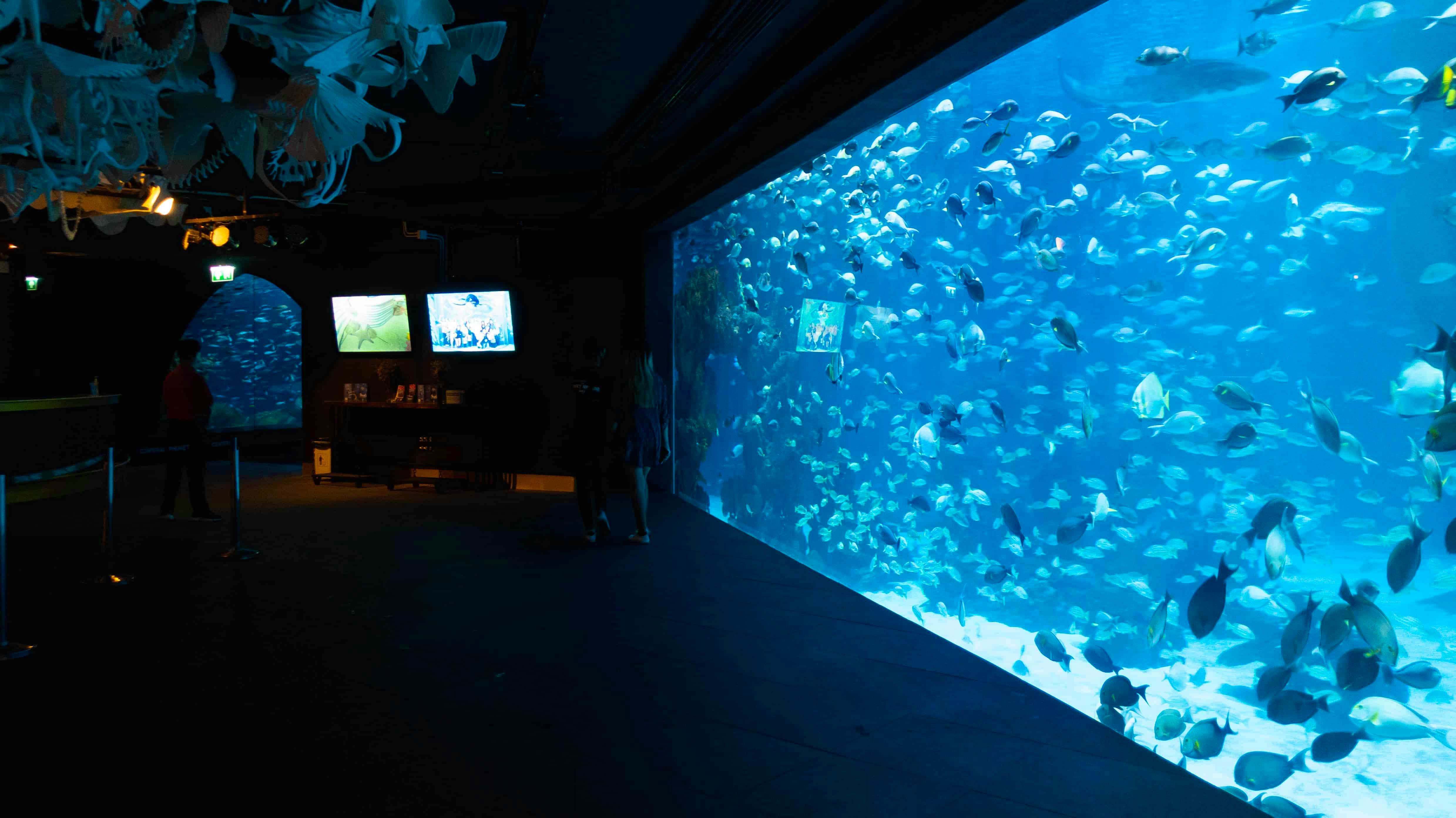 Aquarium Phuket (Pick up for hotels in Patong, Kata, Karon & Kamala)