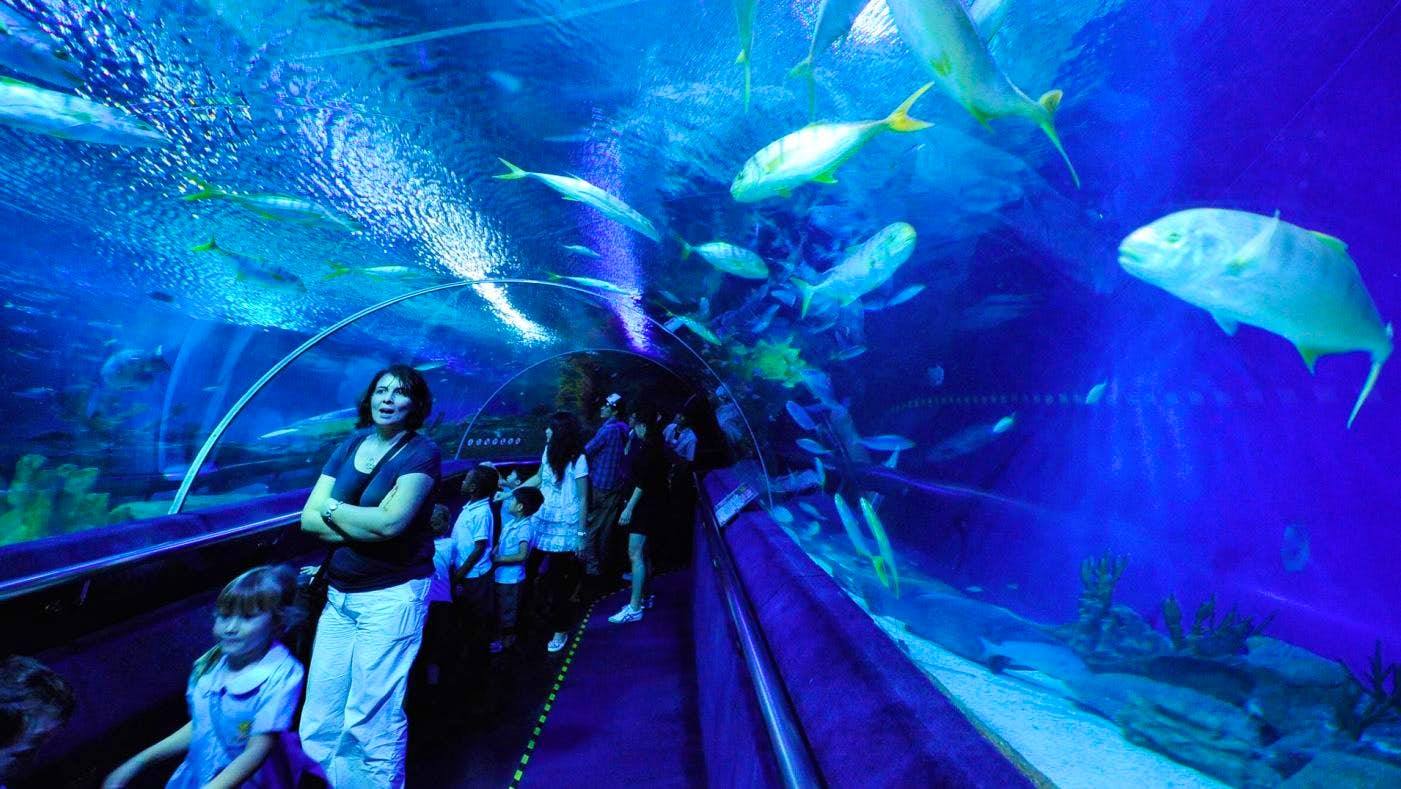 Aquaria KLCC Admission Ticket