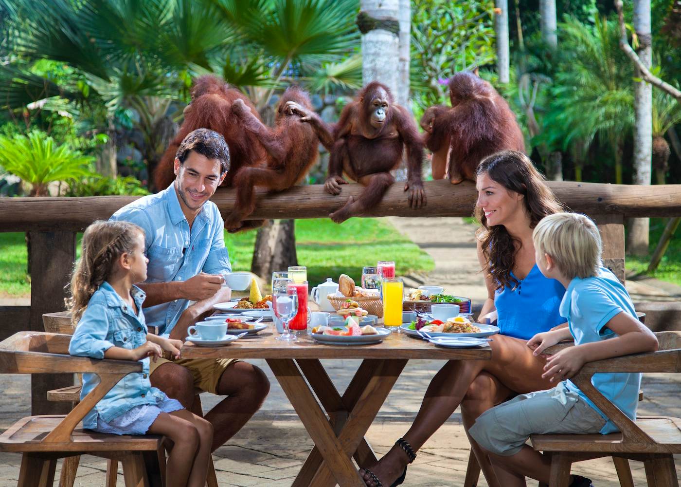Bali Zoo: Breakfast with the Orangutans - Admission only