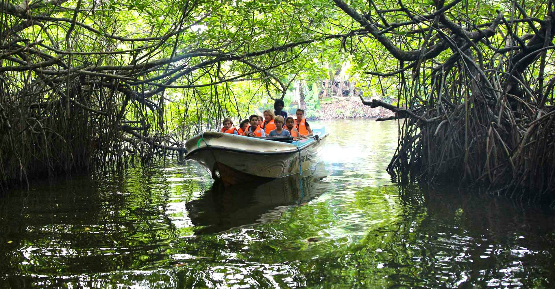 Bentota city tour - Madhu River Ride , Turtle Hatchery  