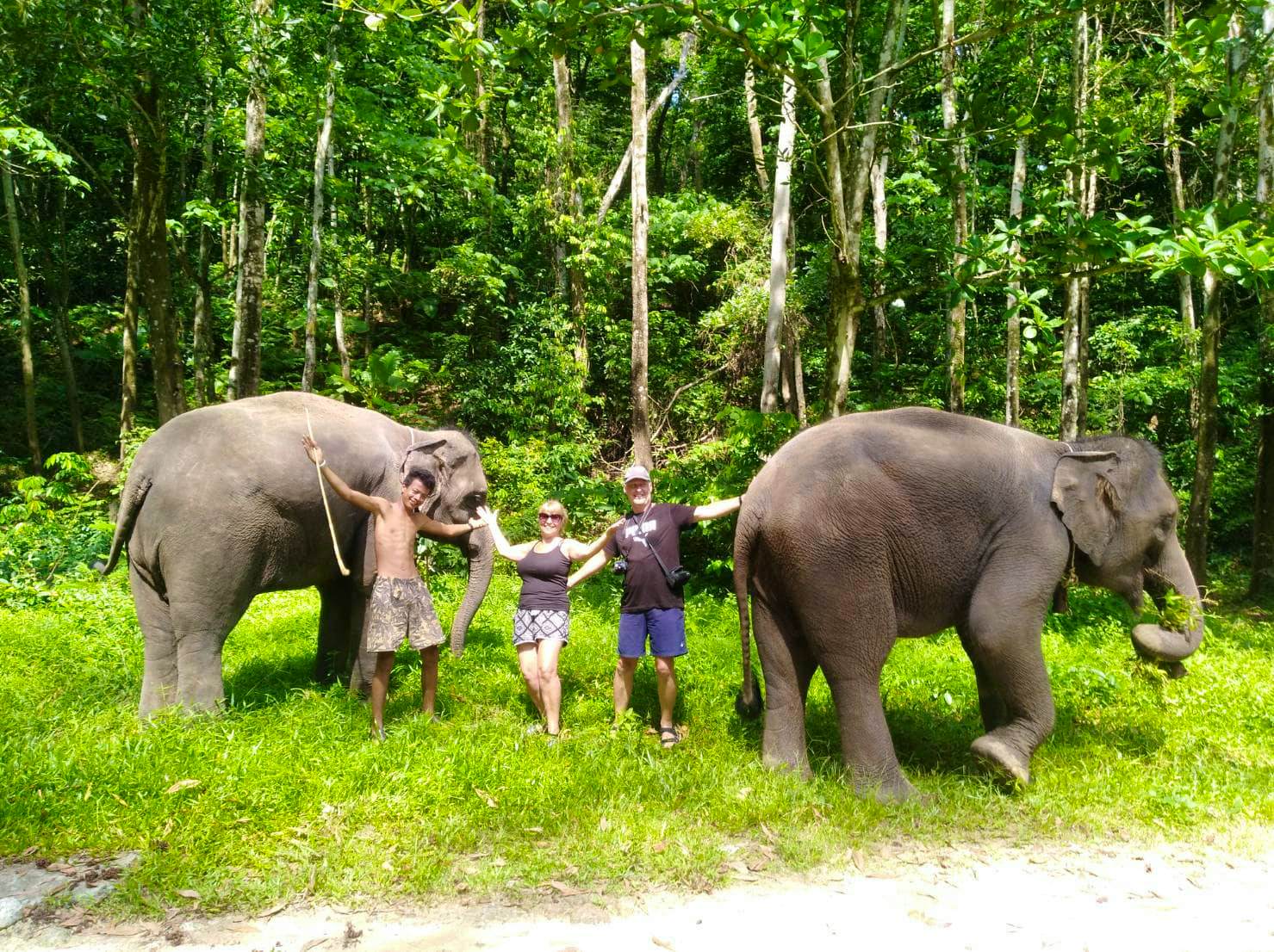 BAREBACK ELEPHANT RIDING ONLY 30 MINS  (Pick up for hotels in Patong, Kata, Karon & Kamala)