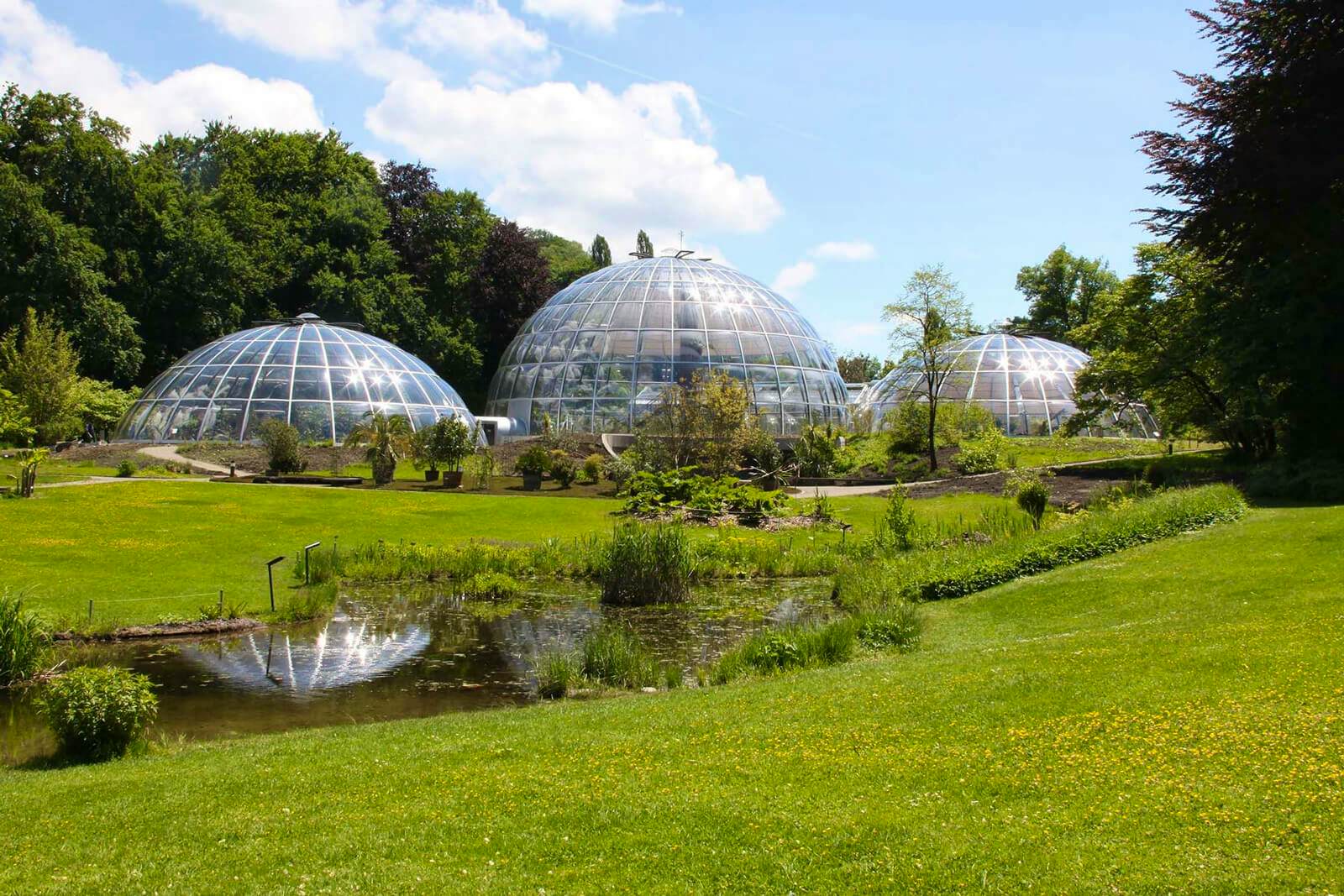 Botanical Garden of the University of Zurich