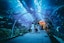National Aquarium AUH (Beyond the Glass)  - Ticket Only