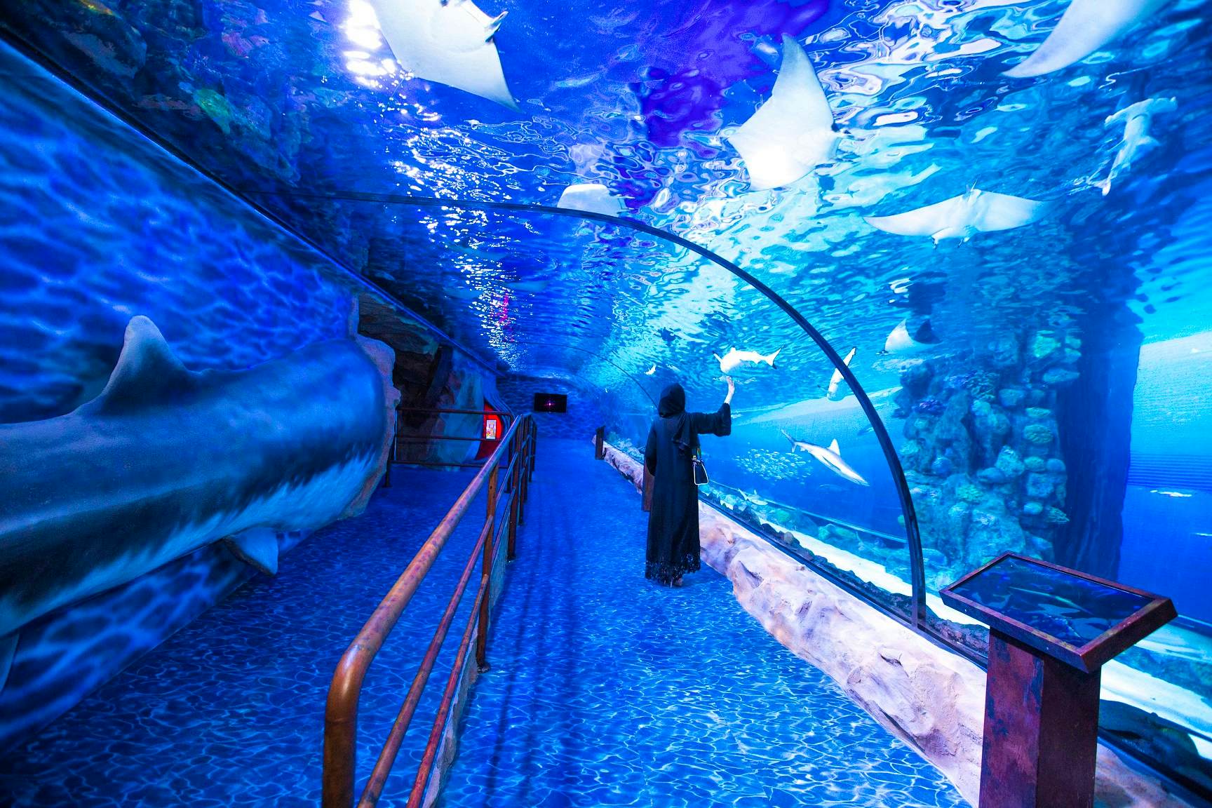 Ultimate Dubai Experience: City Tour, Burj Khalifa - (Non Prime Hours), Aquarium & Underwater Zoo Adventure With Shared Transfers