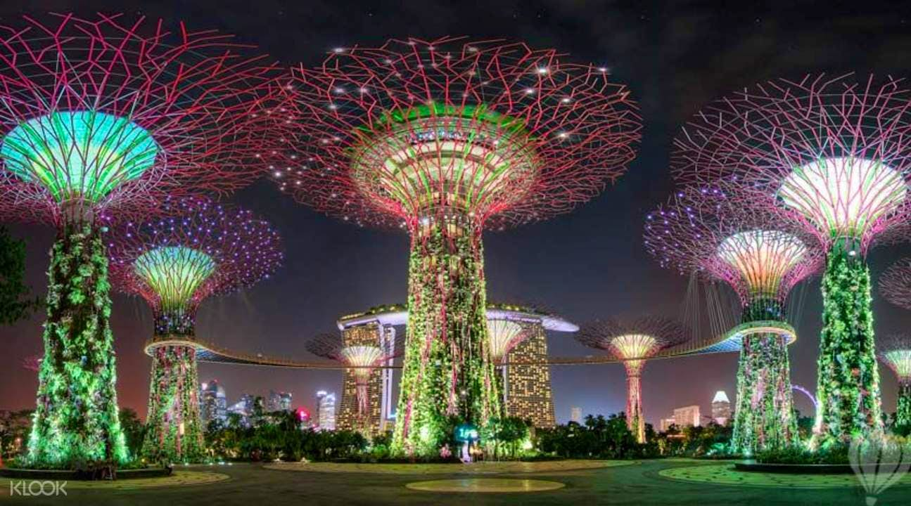 Gardens By The Bay (Cloud Forest + Supertree) - Shared Transfers