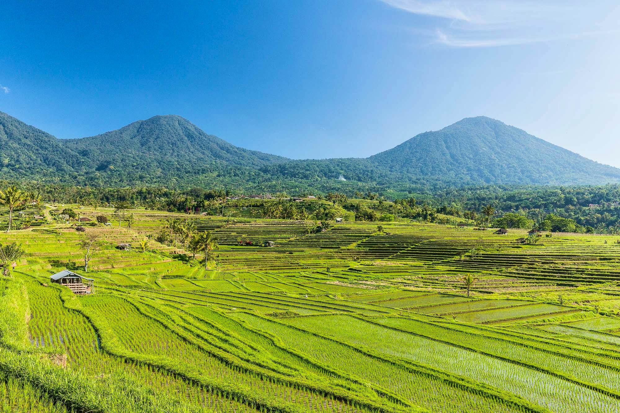 Explore Tirtha Ganga & Jatiluwih rice terraces (Nt possible)