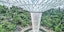 Jewel Changi Airport (Canopy Bridge) (30 Min) (Adults Only) with private transfers