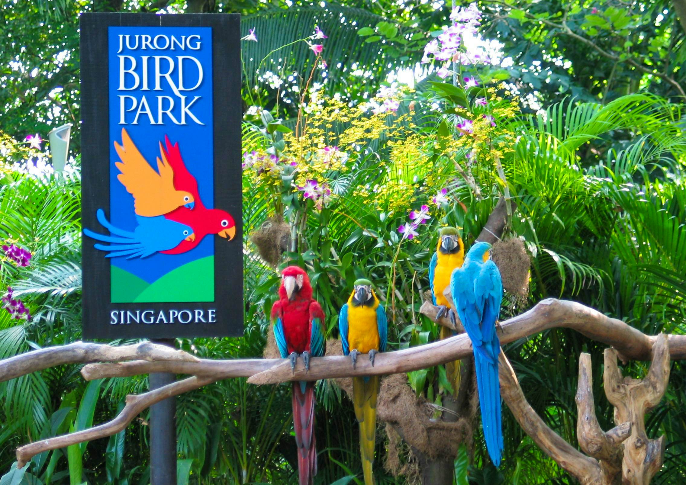 Jurong Bird Park with a tram ride on Seat in Coach  (Closed from Jan 3 2023)