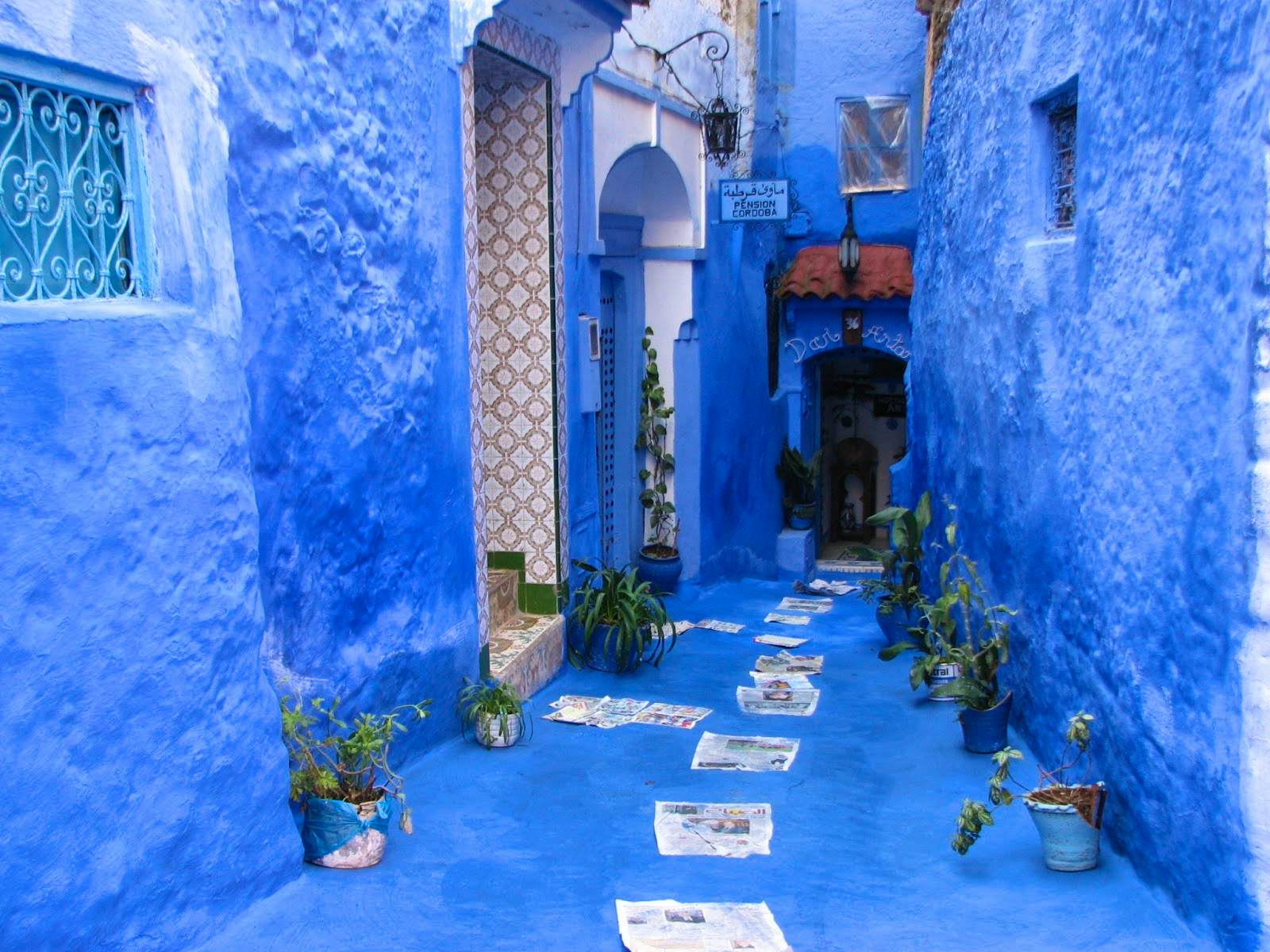Small-Group Day Tour to Chefchaouen from Fez
