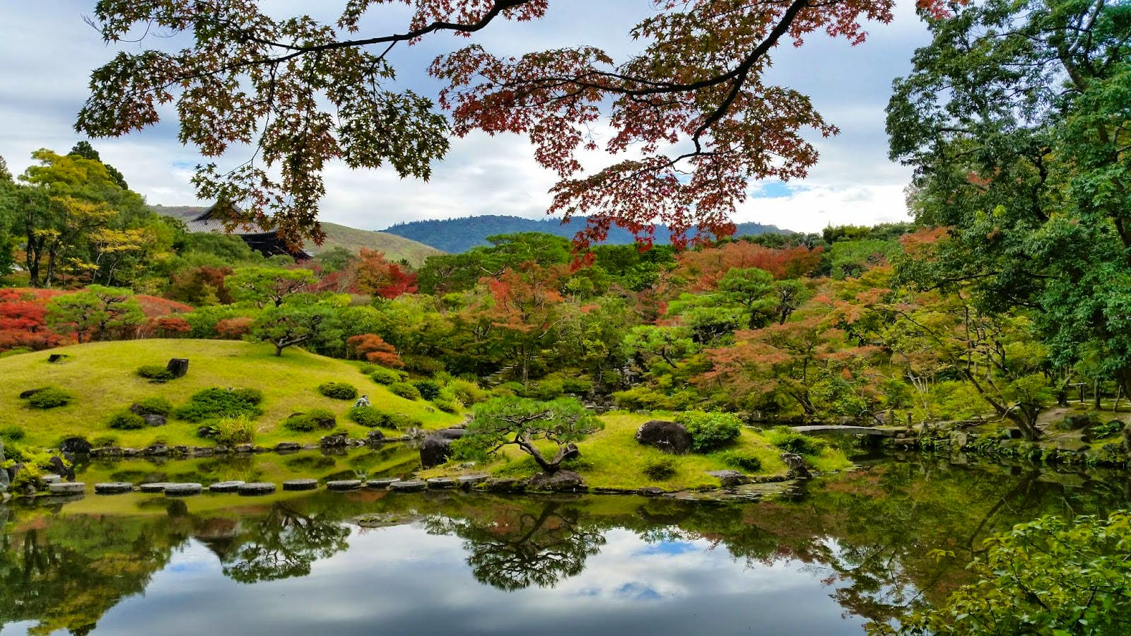 Nara Day Trip from Kyoto (Using JR pass)