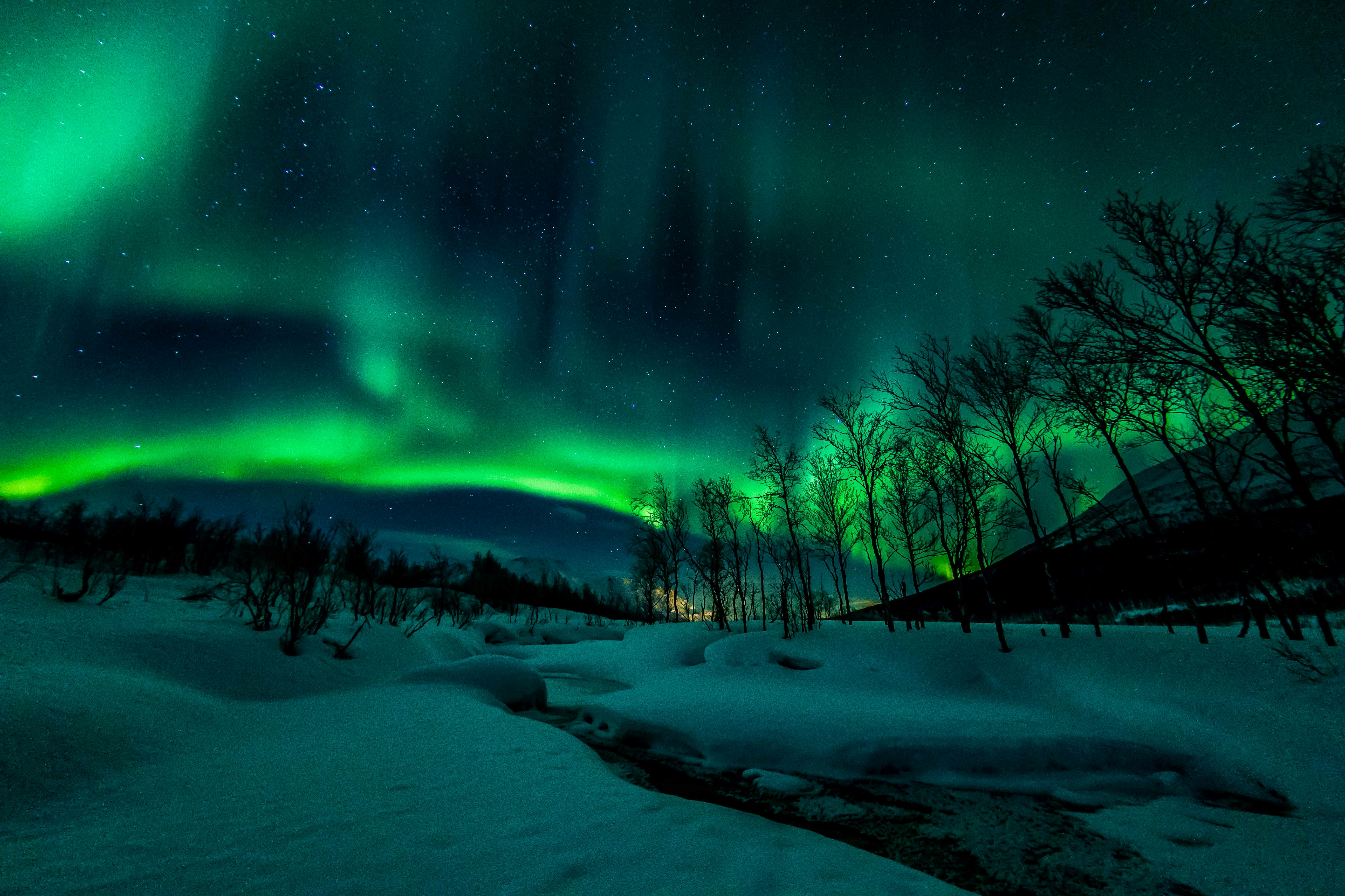 Tromso: Small Group Customised Northern Lights Hunt (max 6 guests)