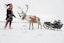 Kola Sami people and reindeers farm tour