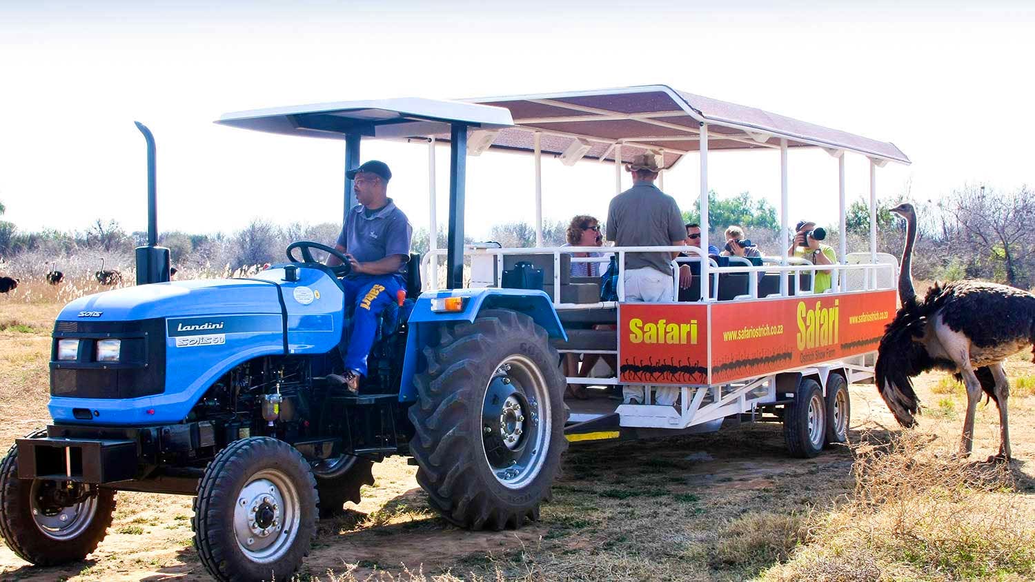 Tractor Tour-Safari Ostrich Show Farm
